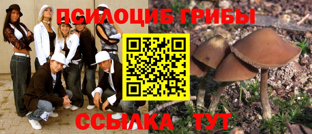 Долгопрудный  Галлюциногенные грибы MAGIC MUSHROOMS  Псилоцибиновые грибы Cubensis  Вход с VPN 