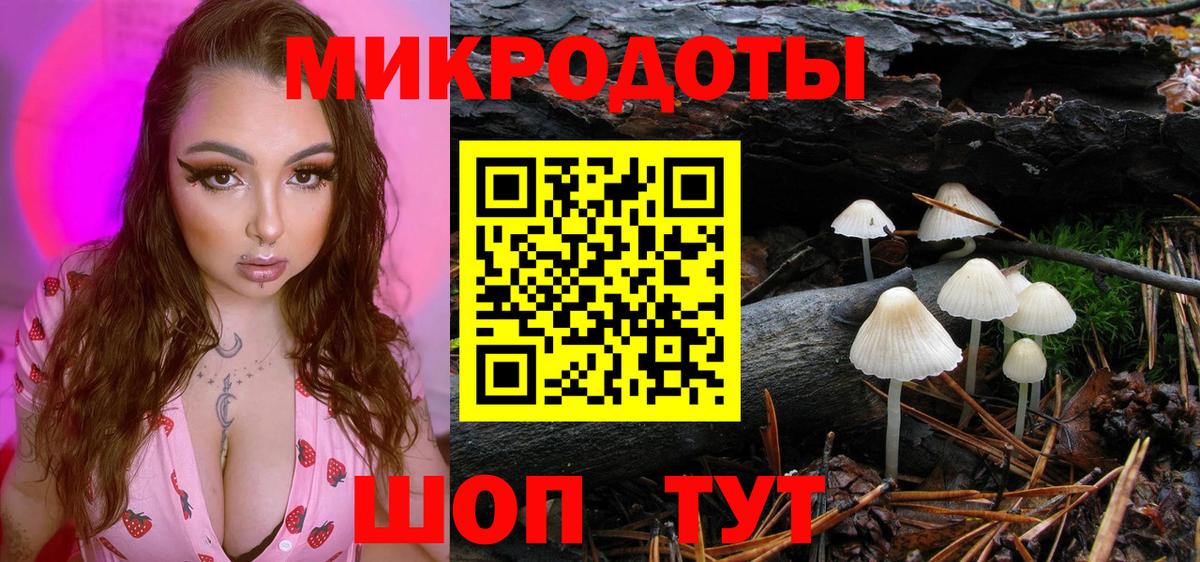 Галлюциногенные грибы Cubensis Долгопрудный