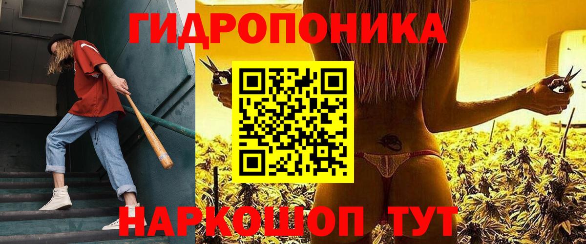 Марихуана планчик  Конопля VHQ  Вход с VPN  Долгопрудный  Бошки Шишки планчик  Каннабис марихуана 